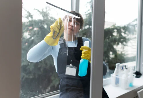 Nettoyage de vitres intérieures et extérieures à la Ferrière-aux-Étangs
